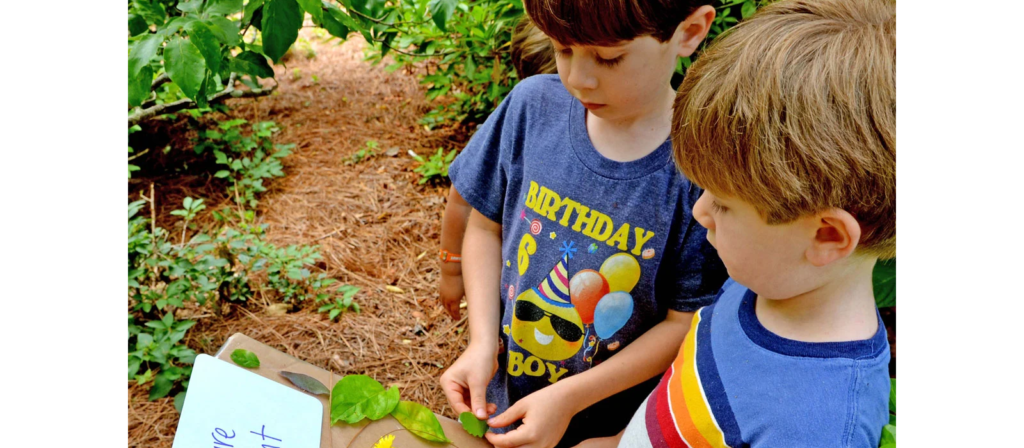 Alphabet Nature Hunt