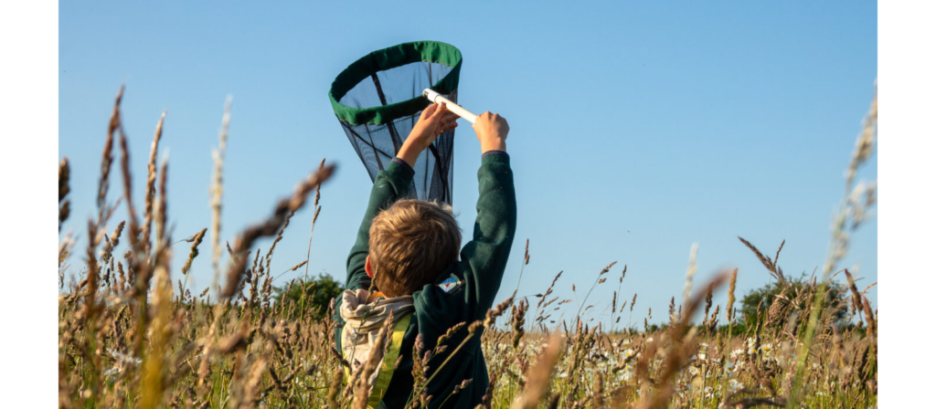 Bug Hunt Safari