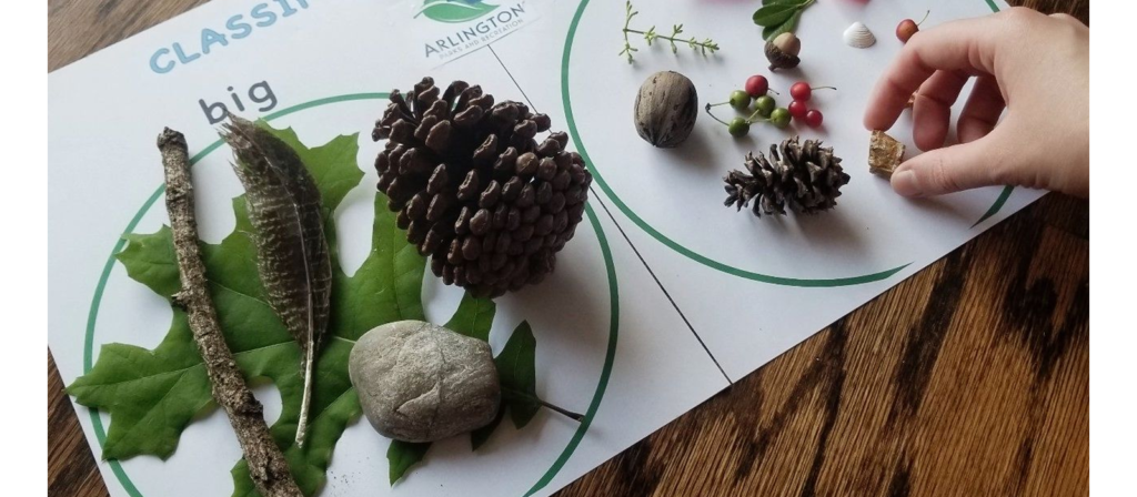 Nature Object Sorting Graphi
