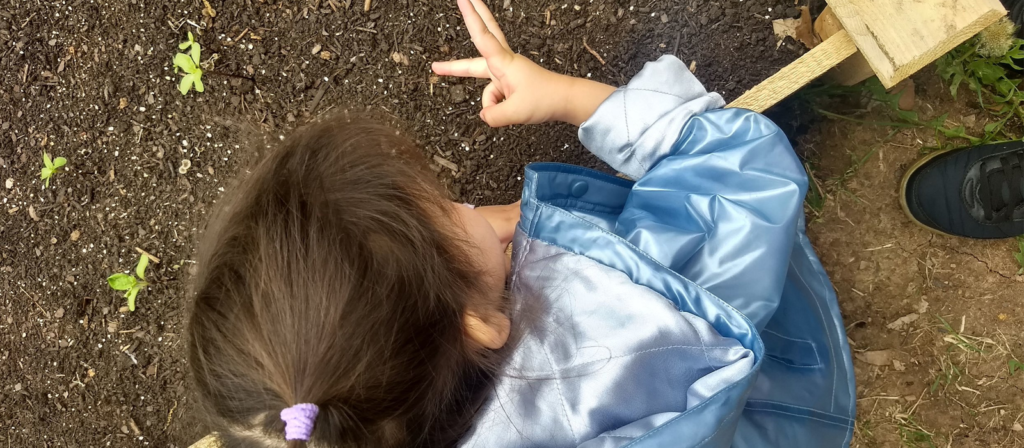 Challenges and Criticism of the Reggio Emilia Approach