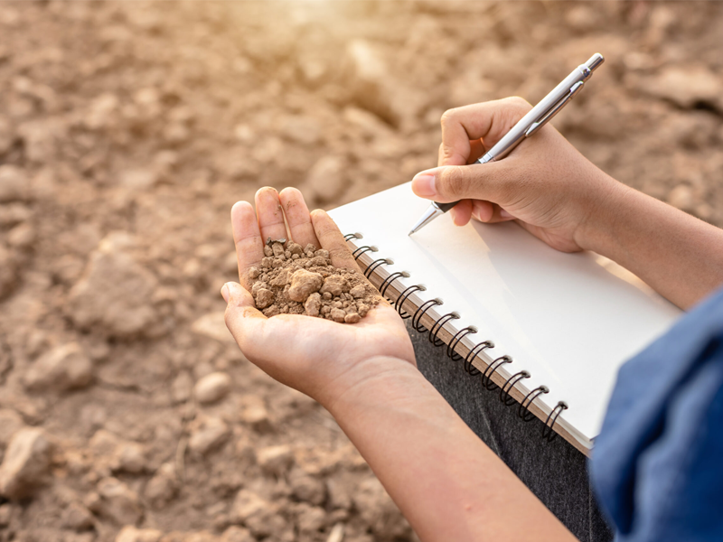 Evaluate Your Preschool Site Conditions