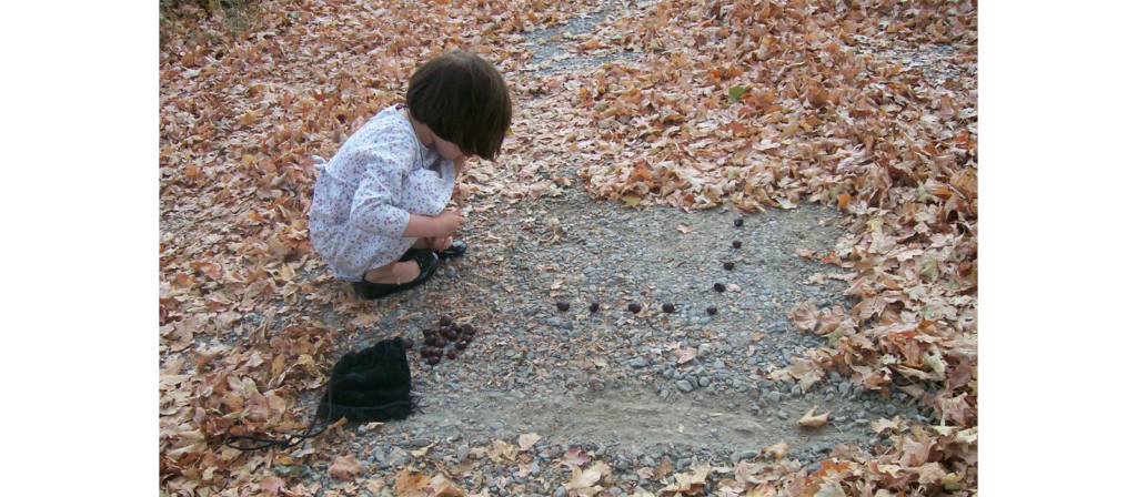 Leaf Toss & Count