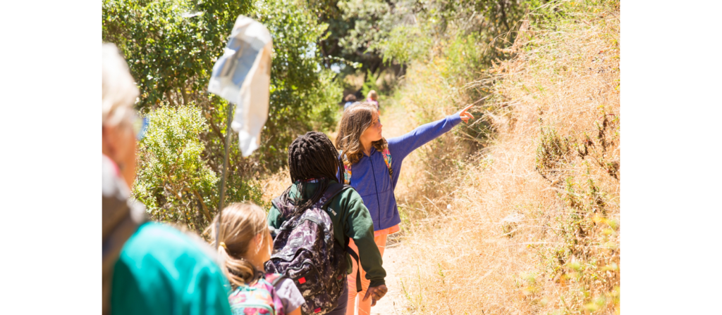 Nature Gratitude Scavenger Hunt