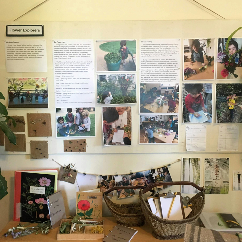Reggio-Inspired Classrooms Display and Documentation Areas