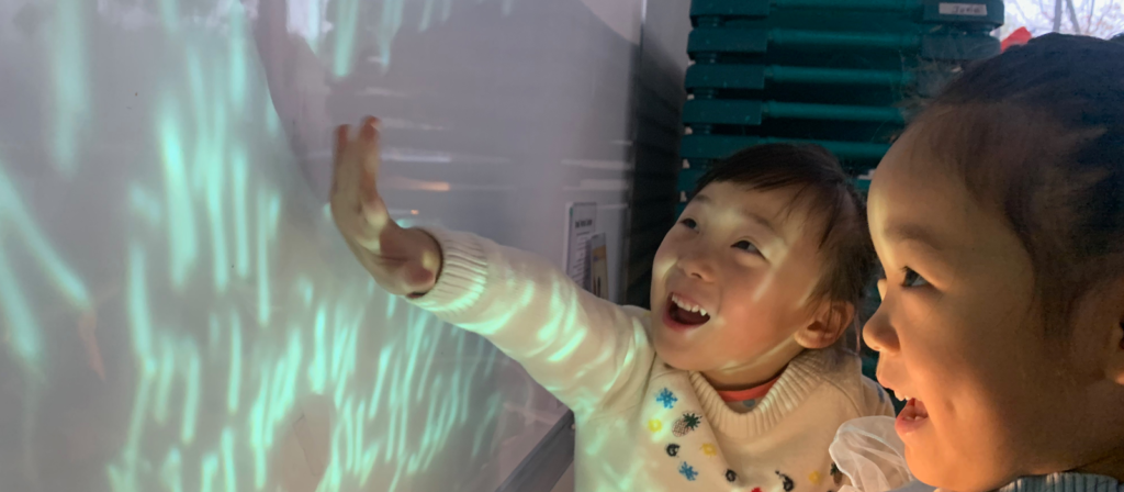 Reggio-Inspired Light, Shadow, and Reflection Play