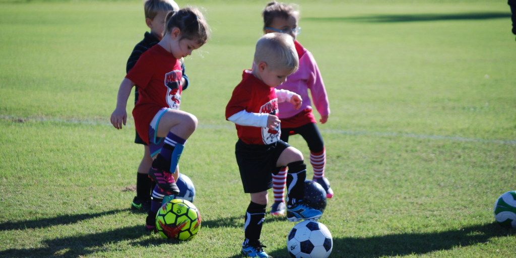 The Physical Development Domain