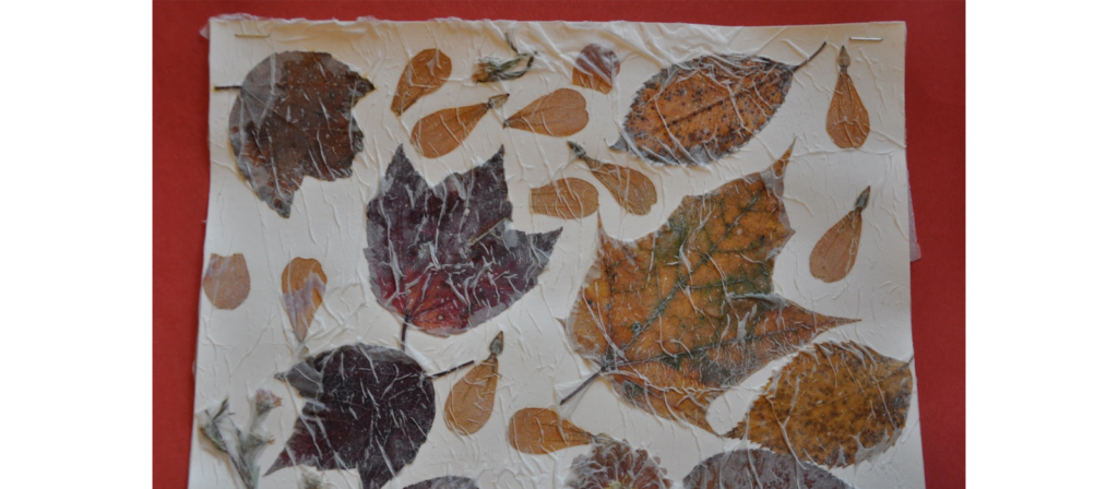 Tissue Paper Leaf Collage
