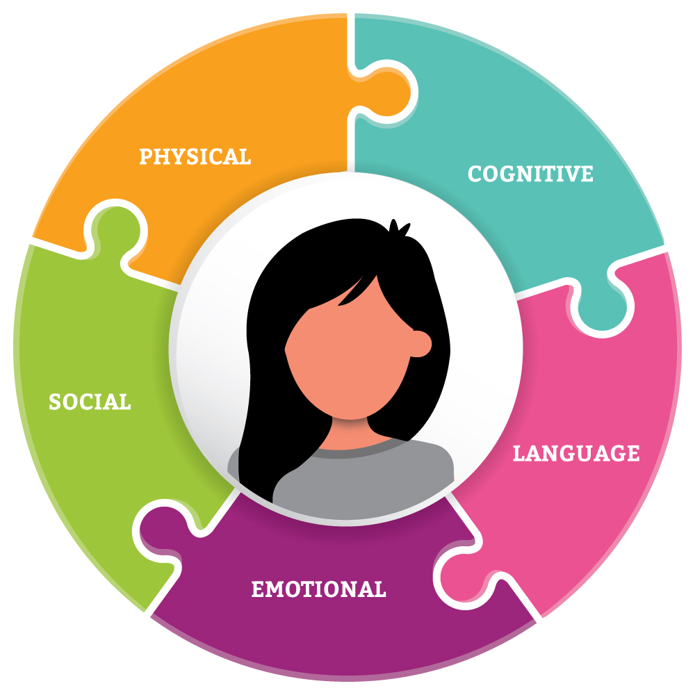 What are the developmental domains