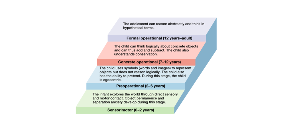 Piaget’s Stages of Development