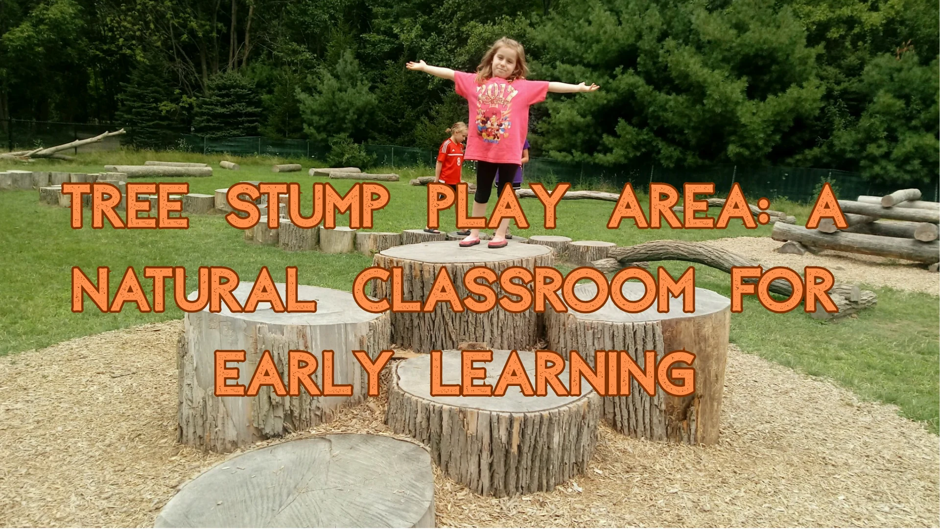 Tree Stump Play Area in Preschool
