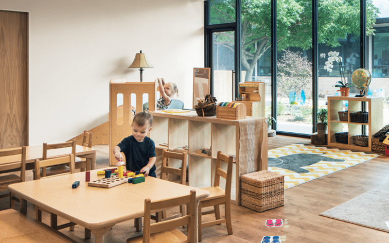 Ignite Curiosity with Open-Ended Reggio Emilia Toys