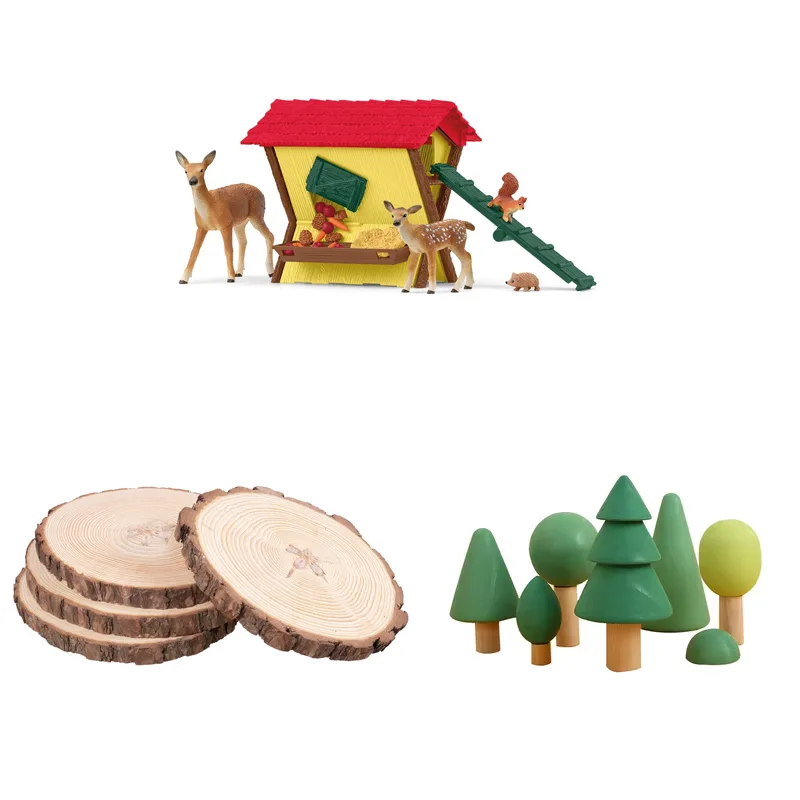 Tree Slices & Cookies
