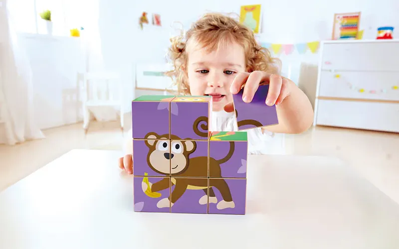 puzzle toys Problem Solving