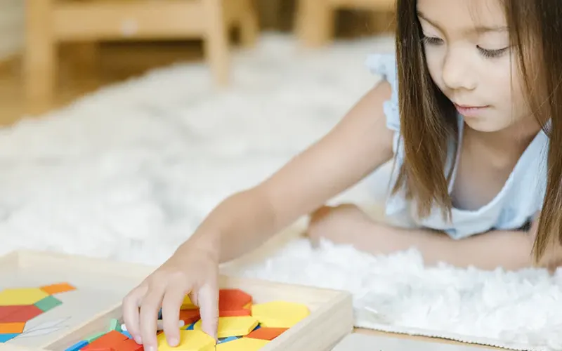 shape recognition puzzle toys