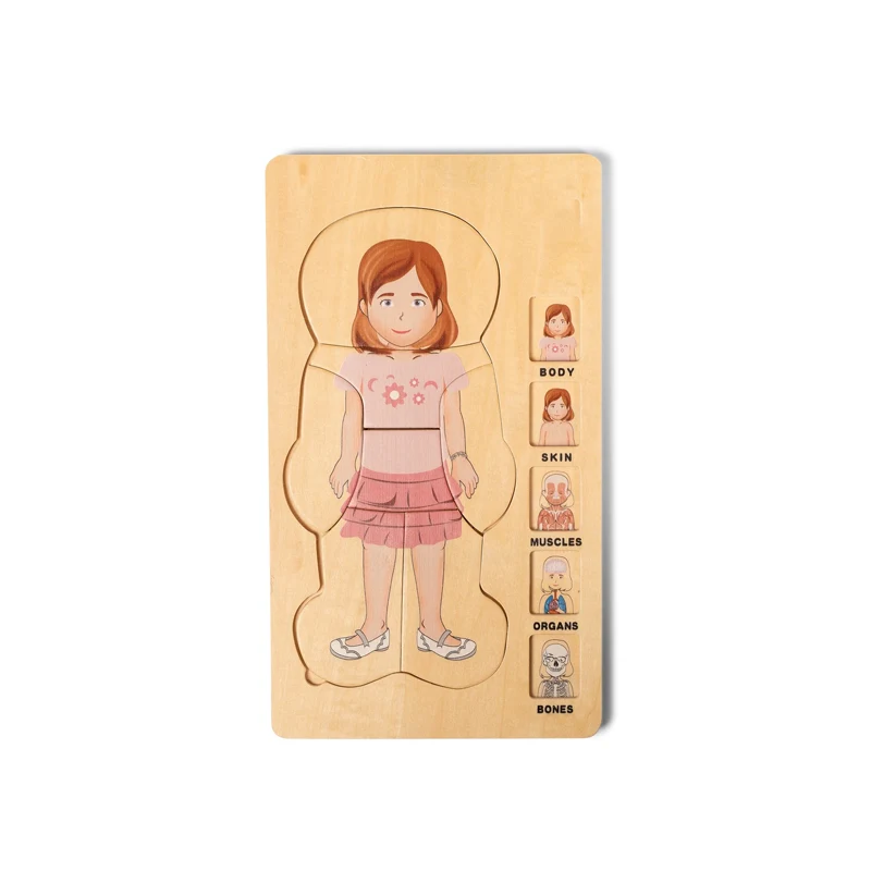 Body and Structure Puzzles