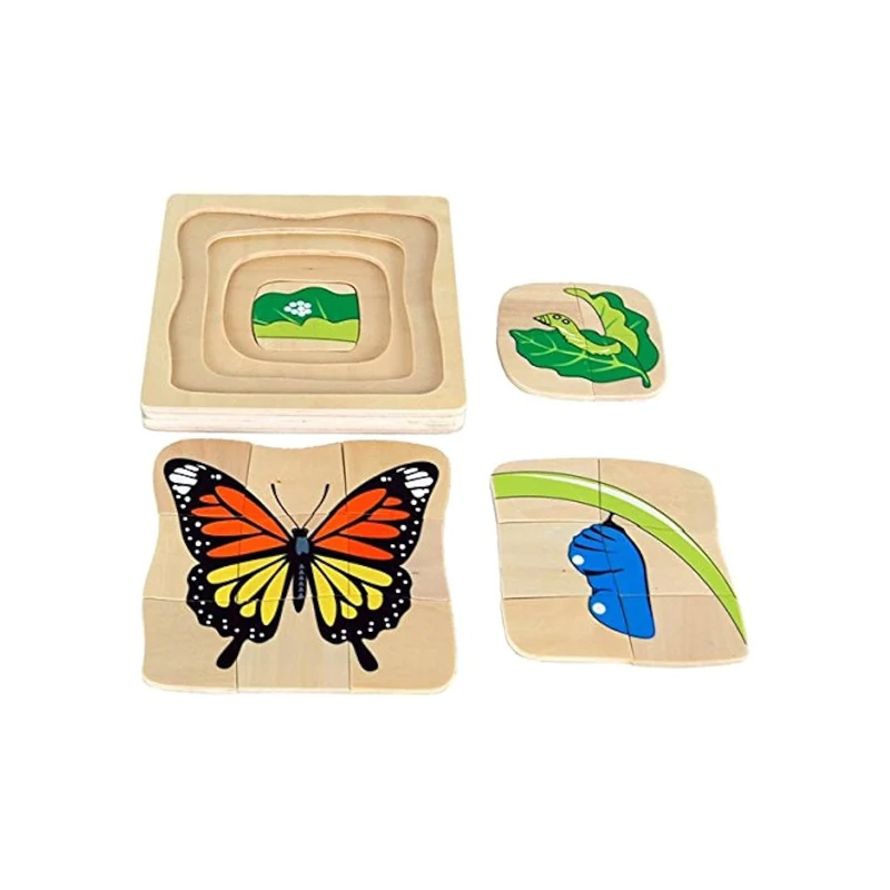 Life Cycle Puzzles