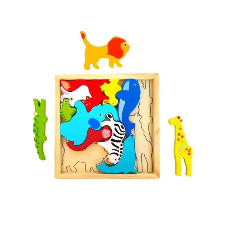 Tray Puzzles