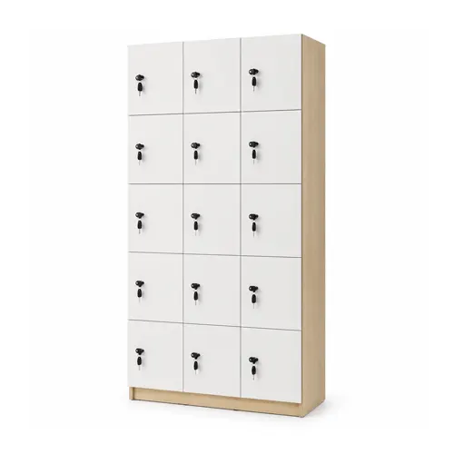 Modern storage locker with key locks